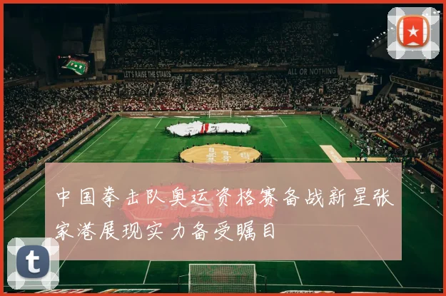 中国拳击队奥运资格赛备战新星张家港展现实力备受瞩目
